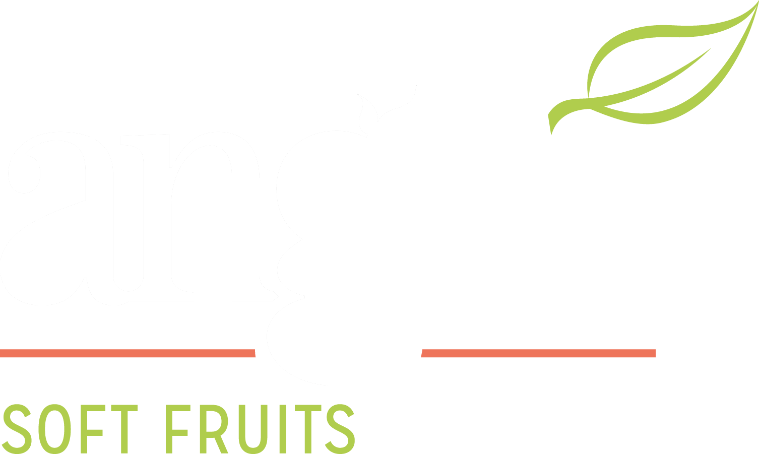 Angus Soft Fruits